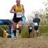 Cross del Aceite 2014 en Torredonjimeno (Jaén)